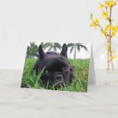 Carte Bouledogue français dans l'herbe (Fleur jaune)