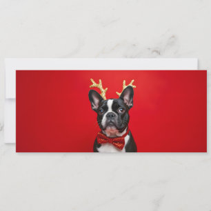 Carte Bouledogue Français de noël au nœud papillon