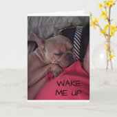 CARTE "BOULEDOGUE FRANÇAIS" DIT "REMETTEZ-VOUS SOON" (Fleur jaune)