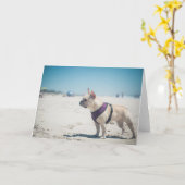 Carte Bouledogue français sur la plage (Fleur jaune)
