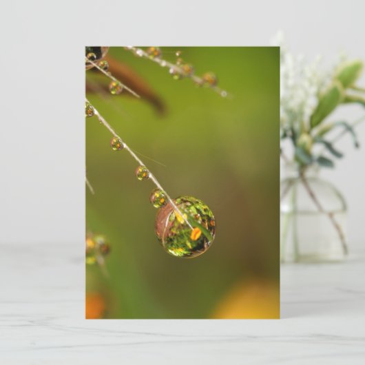 Carte Boulette D'Eau (Debout devant)