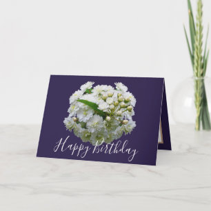 Carte Bouquet Chic Floral Spirea Blanche Anniversaire