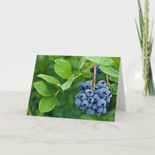 Carte bouquet de bleuets sur buisson (Devant)