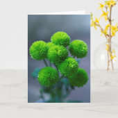 Carte Bouquet de Fleurs Santini Chrysanthème Vert (Fleur jaune)