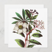 Carte Bouquet de Rose de Noël vintage (Devant / Derrière)