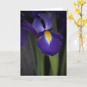 Carte Bouquet Fleur Iris Bleu Foncé (Fleur jaune)