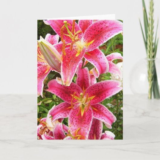 Carte Bouquet Stargazer (Devant)