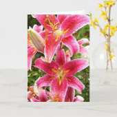 Carte Bouquet Stargazer (Fleur jaune)