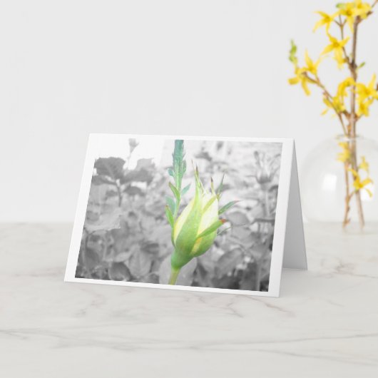 carte bourgeon jaune (Fleur jaune)