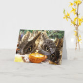 CARTE BOUTEILLES (Fleur jaune)