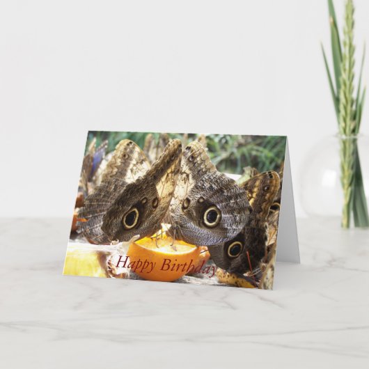 CARTE BOUTEILLES (Devant)
