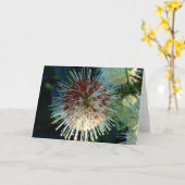 Carte Bouton Bush (Fleur jaune)