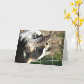 Carte Boutons (Fleur jaune)