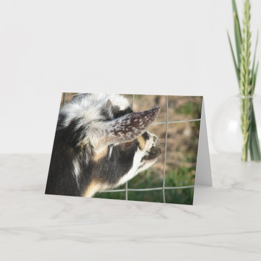 Carte Boutons (Devant)