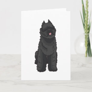 Carte Bouvier des Flandres