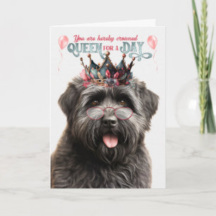 Carte Bouvier Dog Queen pour la journée Anniversaire amu
