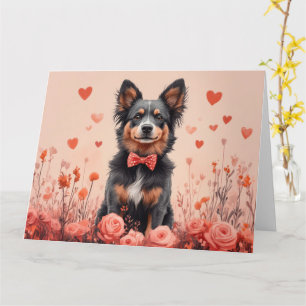 Carte Bovins australiens avec des roses - Saint-Valentin