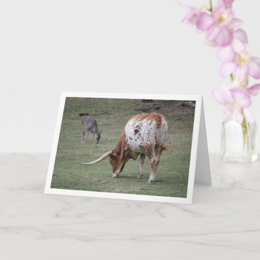 Carte Bovins Texas Longhorn au pâturage (Orchidée)