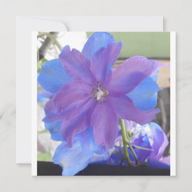 Carte Bowen (Devant)