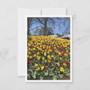 Carte Bowral Tulip Festival - Sydney NSW Australie