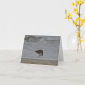 Carte Bows Sandpiper (Fleur jaune)