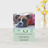 Carte Boxe à broches pensive (Fleur jaune)