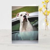 Carte Boxe blanche dans une voiture (Fleur jaune)