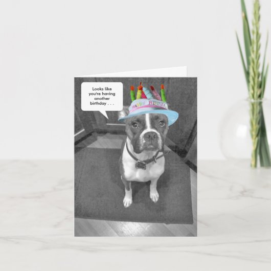 Carte Boxer Casquette Birthday Brindle (Devant)