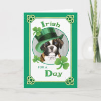 Boxer de la Saint Patrick