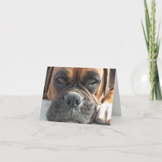 Carte Boxer Dog Blank (Devant)