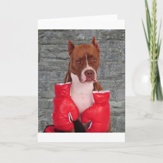 Carte Boxer Pitbull (Devant)