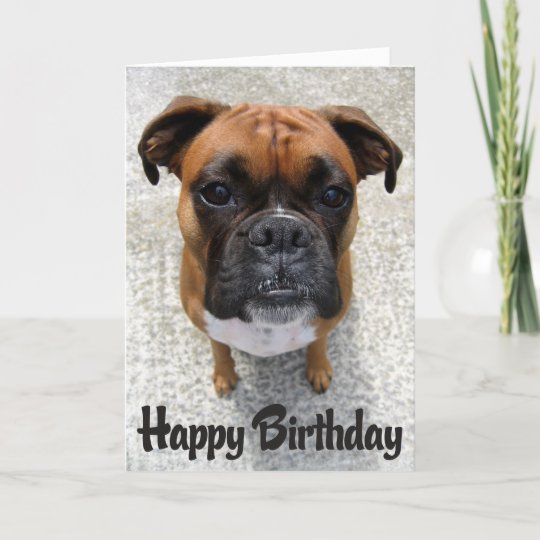 Carte Boxer Puppy Dog Happy Birthday Card Verse Zazzle Be