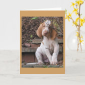Carte Bracco Italiano Greeting Card (Fleur jaune)