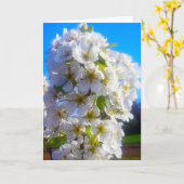 Carte Branche de poirier en fleurs blanches au printemps (Fleur jaune)