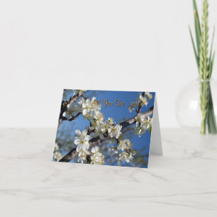 Carte Branche de prunier blanc en fleurs au printemps