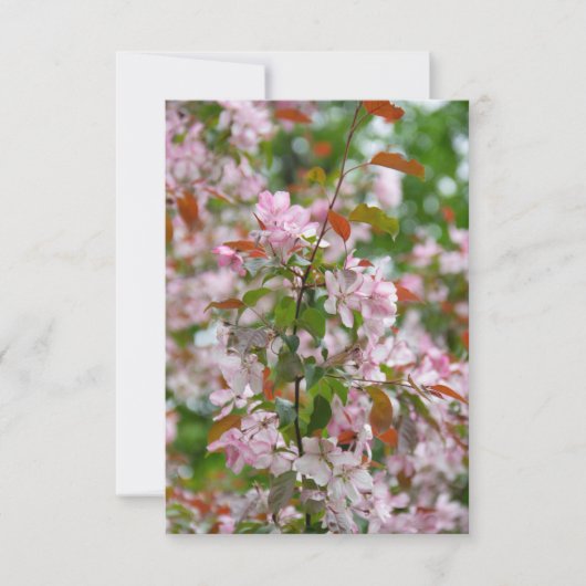 Carte Branche délicate avec fleurs pommier (Devant)
