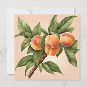 Carte Branche vintage avec fruits de pêche