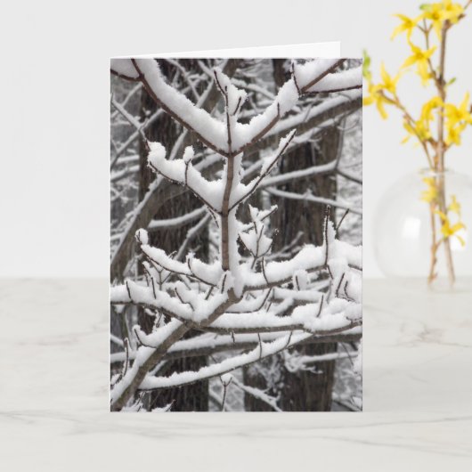 Carte Branches couvertes de neige (Fleur jaune)