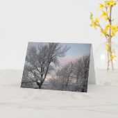 Carte Branches couvertes de neige (Fleur jaune)