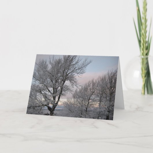 Carte Branches couvertes de neige (Devant)