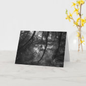 Carte Branches, dans le soleil, UC Santa Cruz, 1963 (Fleur jaune)