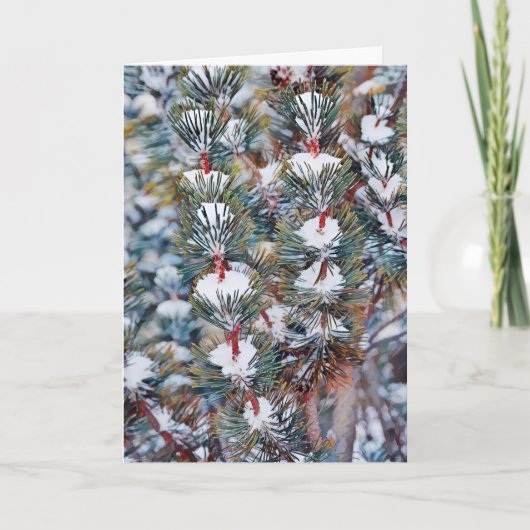 Carte Branches de neige sur pin Art Christmas Card (Devant)