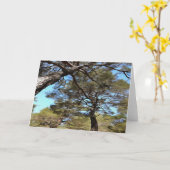 Carte Branches En Tangée Des Pins Perspective Bizarre (Fleur jaune)