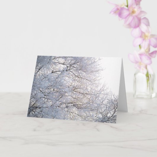 Carte Branches enneigées et givrées par un matin d'hiver (Orchidée)