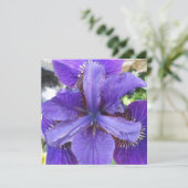 Carte Brandeis (Debout devant)