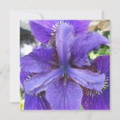 Carte Brandeis (Devant)