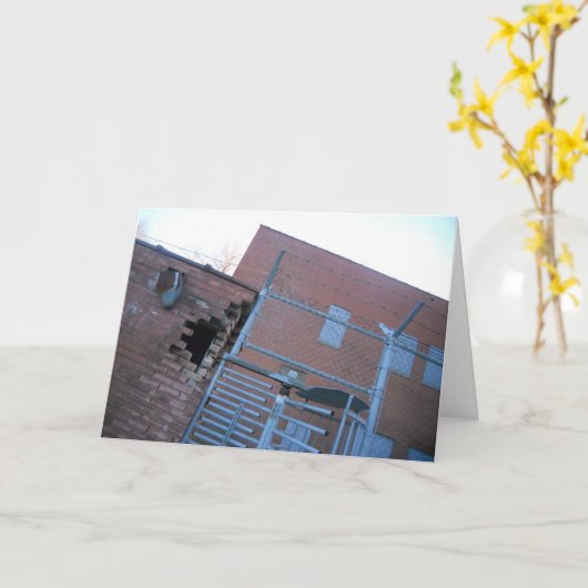 Carte "Brasserie Hamm's Tilted" (Fleur jaune)