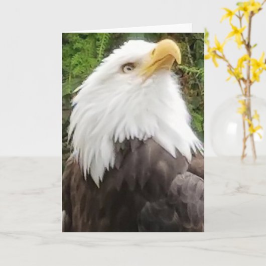 Carte Brave Eagle Greeting Card (Fleur jaune)