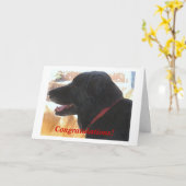 Carte Bravo Black Lab Chien Félicitations DVM Graduation (Fleur jaune)