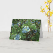 Carte Brays Blueberries Greene Comté Indiana (Fleur jaune)